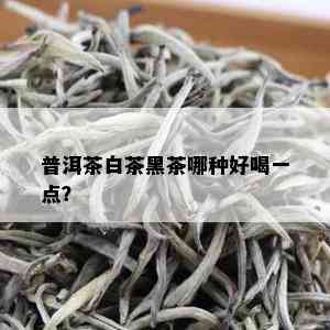 普洱茶白茶黑茶哪种好喝一点？