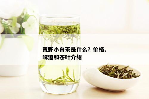 荒野小白茶是什么？价格、味道和茶叶介绍