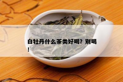 白牡丹什么茶类好喝？别喝！