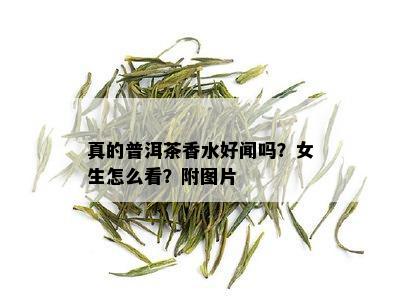 真的普洱茶香水好闻吗？女生怎么看？附图片