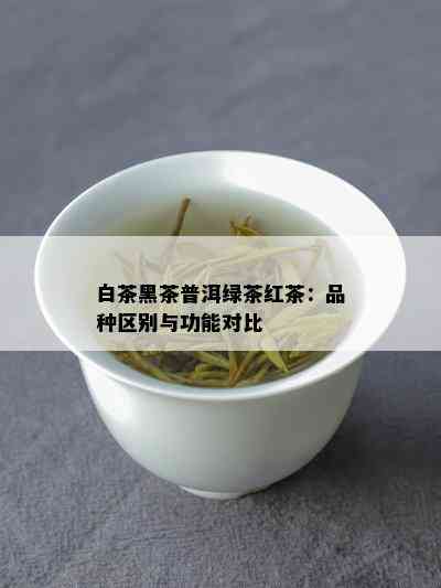 白茶黑茶普洱绿茶红茶：品种区别与功能对比