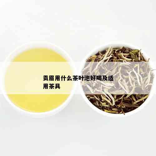 贡眉用什么茶叶泡好喝及适用茶具