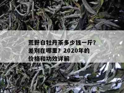 荒野白牡丹茶多少钱一斤？差别在哪里？2020年的价格和功效详解