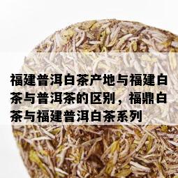 福建普洱白茶产地与福建白茶与普洱茶的区别，福鼎白茶与福建普洱白茶系列