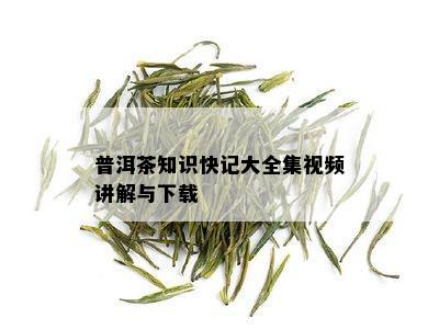 普洱茶知识快记大全集视频讲解与下载