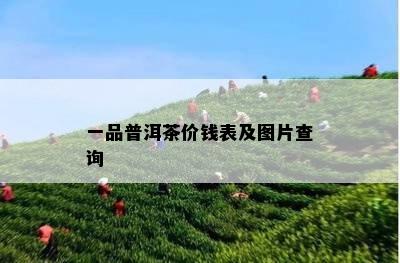 一品普洱茶价钱表及图片查询