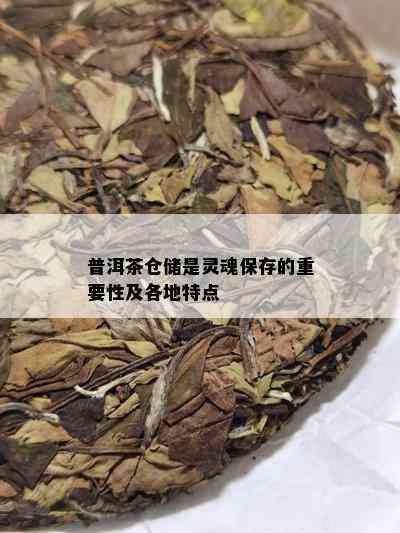 普洱茶仓储是灵魂保存的重要性及各地特点