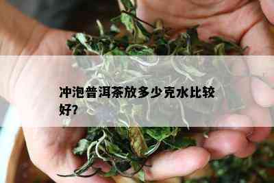 冲泡普洱茶放多少克水比较好？