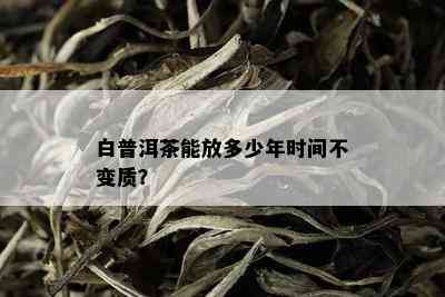 白普洱茶能放多少年时间不变质？