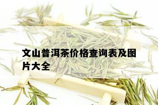 文山普洱茶价格查询表及图片大全