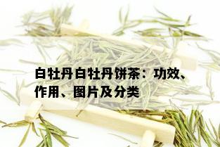 白牡丹白牡丹饼茶：功效、作用、图片及分类