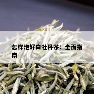 怎样泡好白牡丹茶：全面指南