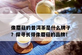 像蘑菇的普洱茶是什么牌子？探寻长得像蘑菇的品牌！