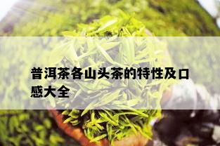 普洱茶各山头茶的特性及口感大全