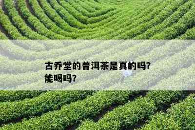 古乔堂的普洱茶是真的吗？能喝吗？