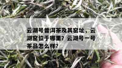 云湖号普洱茶及其窑址，云湖窑位于哪里？云湖号一号茶品怎么样？