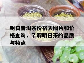 明日普洱茶价格表图片和价格查询，了解明日茶的品质与特点