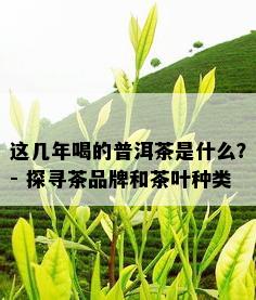 这几年喝的普洱茶是什么？- 探寻茶品牌和茶叶种类