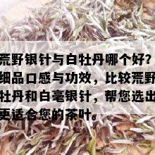 荒野银针与白牡丹哪个好？细品口感与功效，比较荒野牡丹和白毫银针，帮您选出更适合您的茶叶。