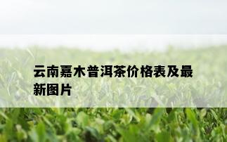 云南嘉木普洱茶价格表及最新图片