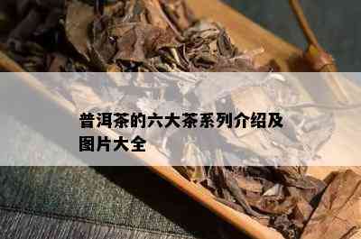 普洱茶的六大茶系列介绍及图片大全