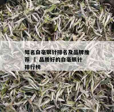 知名白毫银针排名及品牌推荐 – 品质好的白毫银针排行榜