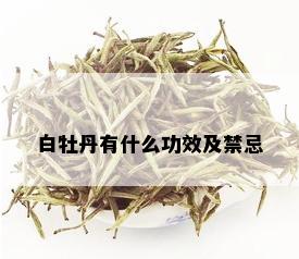 白牡丹有什么功效及禁忌