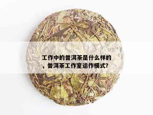 工作中的普洱茶是什么样的，普洱茶工作室运作模式？