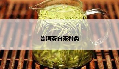 普洱茶白茶种类