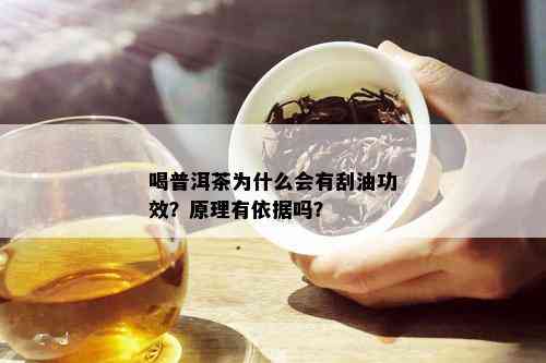 喝普洱茶为什么会有刮油功效？原理有依据吗？