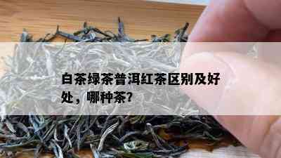 白茶绿茶普洱红茶区别及好处，哪种茶？