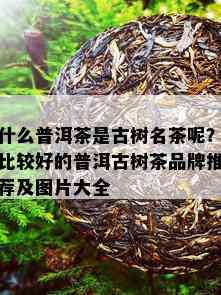 什么普洱茶是古树名茶呢？比较好的普洱古树茶品牌推荐及图片大全