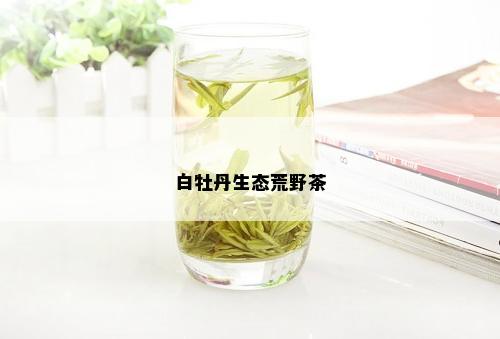 白牡丹生态荒野茶