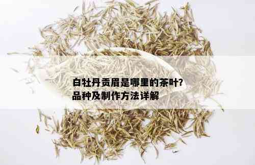 白牡丹贡眉是哪里的茶叶？品种及制作方法详解