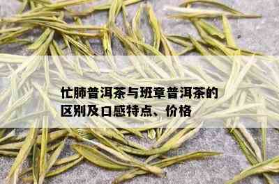 忙肺普洱茶与班章普洱茶的区别及口感特点、价格