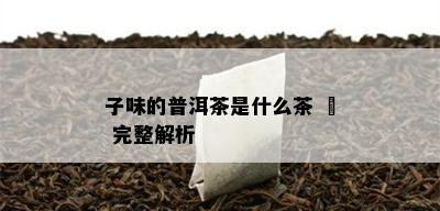 子味的普洱茶是什么茶 – 完整解析