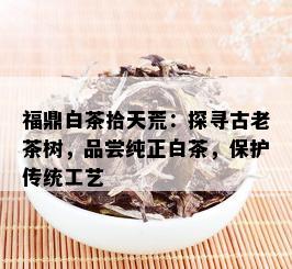 福鼎白茶拾天荒：探寻古老茶树，品尝纯正白茶，保护传统工艺