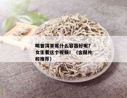 喝普洱茶用什么容器好呢？女生看这个视频！（含图片和推荐）