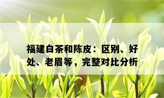 福建白茶和陈皮：区别、好处、老眉等，完整对比分析