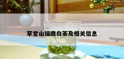 草堂山福鼎白茶及相关信息