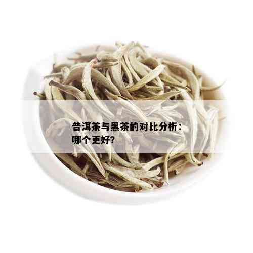 普洱茶与黑茶的对比分析：哪个更好？