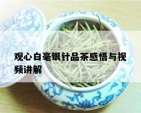 观心白毫银针品茶感悟与视频讲解