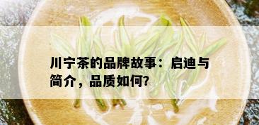 川宁茶的品牌故事：启迪与简介，品质如何？