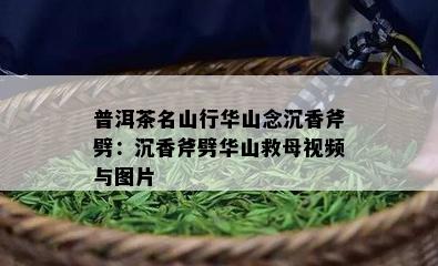 普洱茶名山行华山念沉香斧劈：沉香斧劈华山救母视频与图片