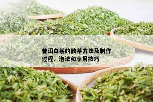 普洱白茶的散茶方法及制作过程、泡法和享用技巧