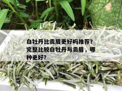 白牡丹比贡眉更好吗推荐？完整比较白牡丹与贡眉，哪种更好？