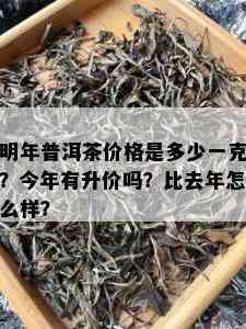 明年普洱茶价格是多少一克？今年有升价吗？比去年怎么样？