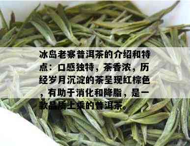 冰岛老寨普洱茶的介绍和特点：口感独特，茶香浓，历经岁月沉淀的茶呈现红棕色，有助于消化和降脂，是一款品质上乘的普洱茶。