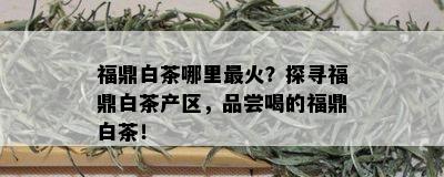 福鼎白茶哪里最火？探寻福鼎白茶产区，品尝喝的福鼎白茶！