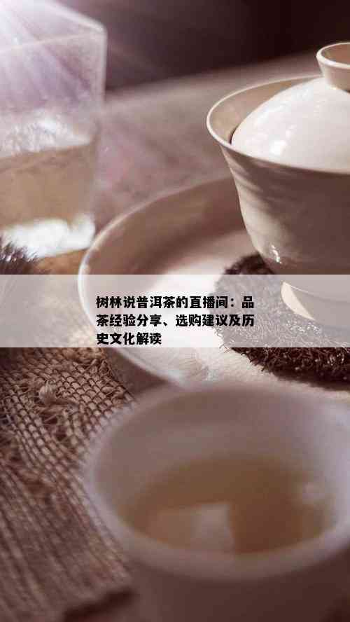 树林说普洱茶的直播间：品茶经验分享、选购建议及历史文化解读